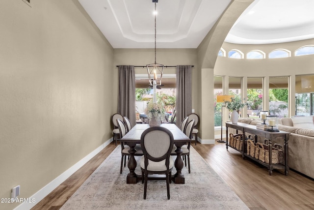 dining space featuring a wealth of natural light, a tray ceiling, and wood finished floors