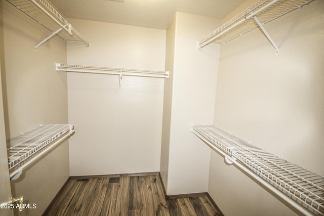 20221 N 31st St, Phoenix, AZ 85050 - walk in closet with wood finished floors