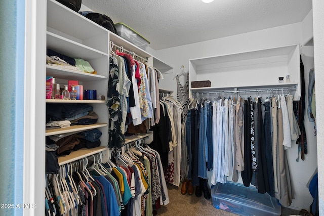 walk in closet with carpet flooring