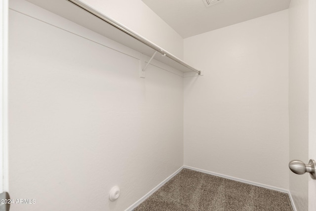 spacious closet featuring carpet