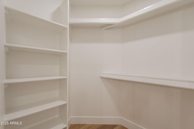 spacious closet featuring wood finished floors