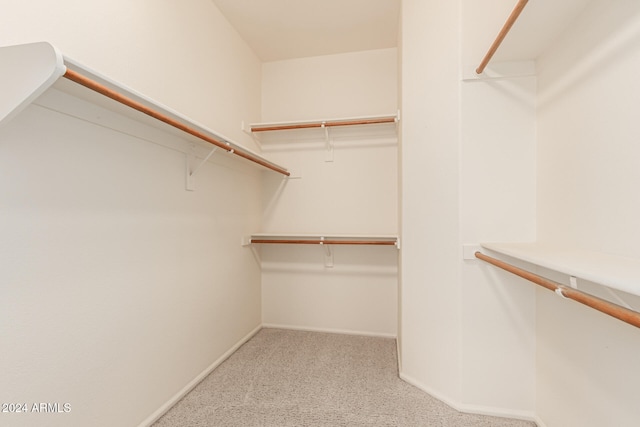 walk in closet with light colored carpet