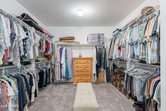 spacious closet featuring carpet floors