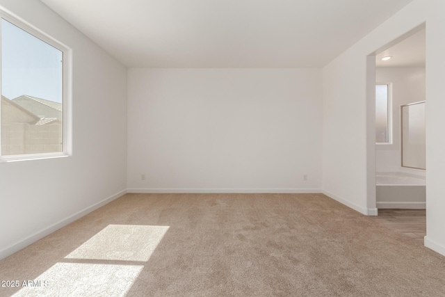 unfurnished room with baseboards and carpet floors