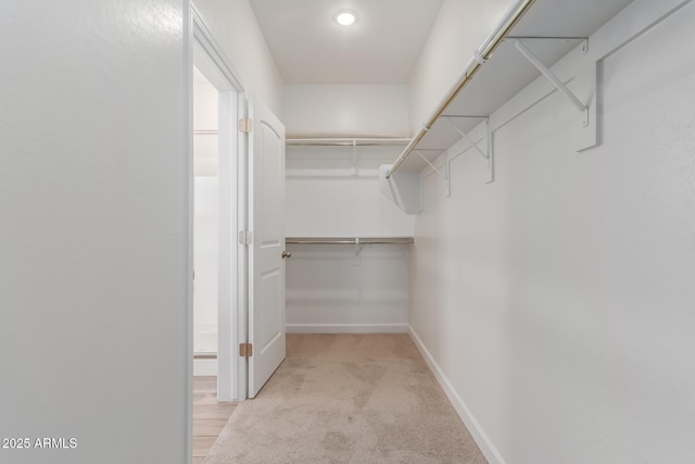 walk in closet with light carpet