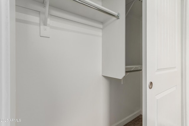 spacious closet featuring carpet flooring
