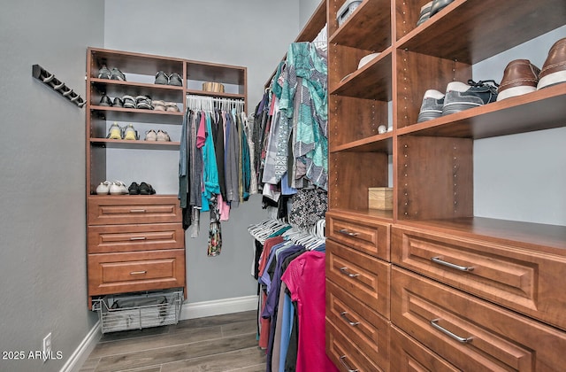 spacious closet featuring dark hardwood / wood-style floors