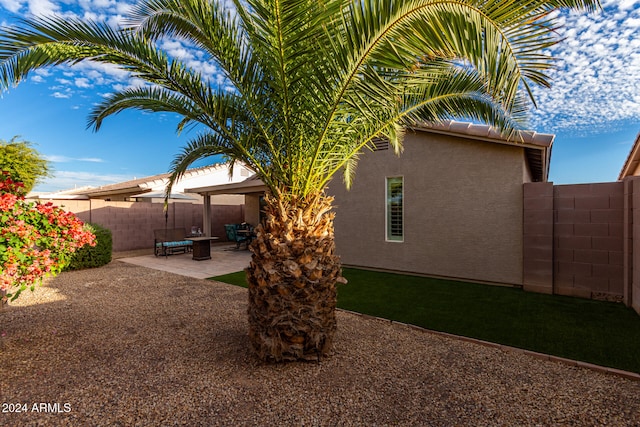 view of yard featuring a patio area