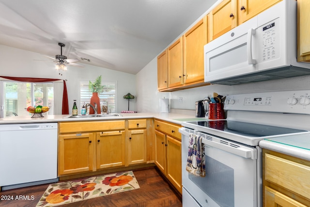 kitchen featuring sink, vaulted ceiling, dark hardwood / wood-style flooring, white appliances, and ceiling fan