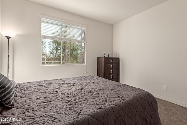 bedroom with carpet floors