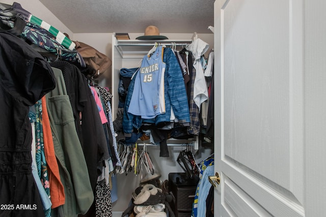 15221 N Clubgate Dr Unit 2132, Scottsdale, AZ 85254 - view of spacious closet
