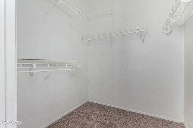 spacious closet with carpet floors