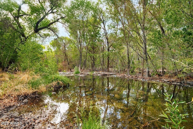 3540 S Cottonwood Dr, Camp Verde, AZ 86322 - water view