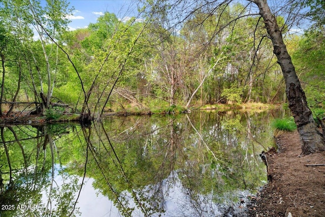 3540 S Cottonwood Dr, Camp Verde, AZ 86322 - water view featuring a forest