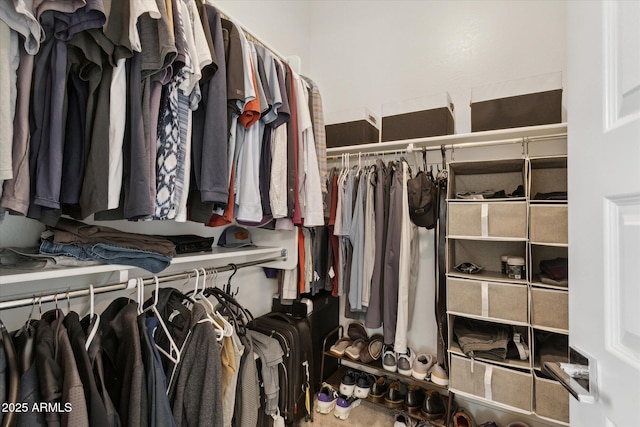 view of walk in closet