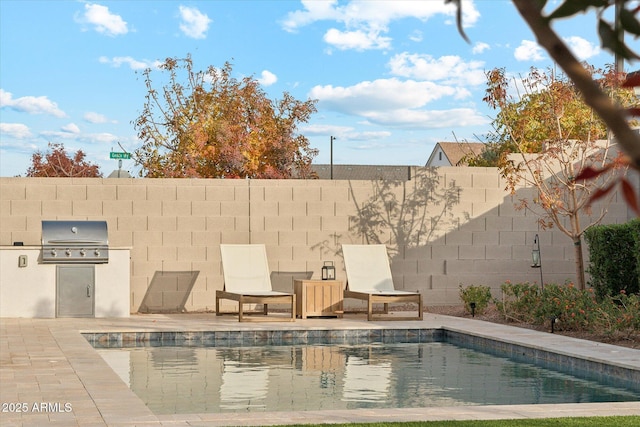 view of pool featuring area for grilling, a patio area, and exterior kitchen