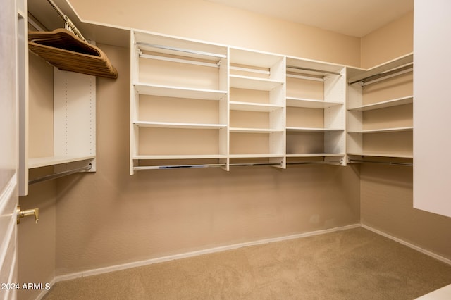 walk in closet with carpet flooring