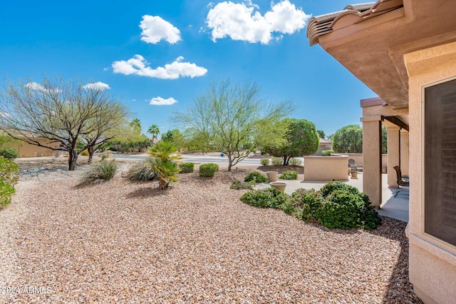 view of yard with a patio area