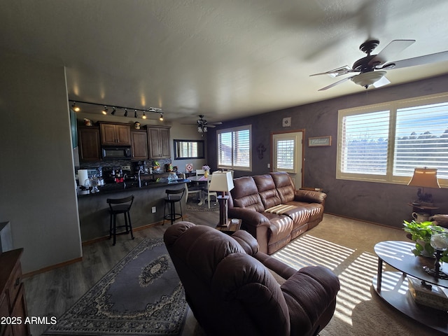 living room featuring ceiling fan and hardwood / wood-style floors