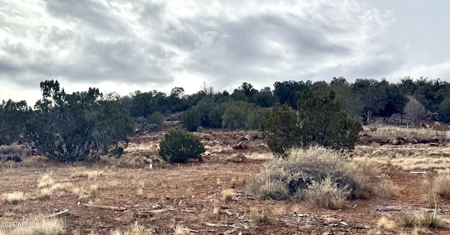 7651 Bar Ditch Rd Unit 70, Show Low AZ, 85901 land for sale