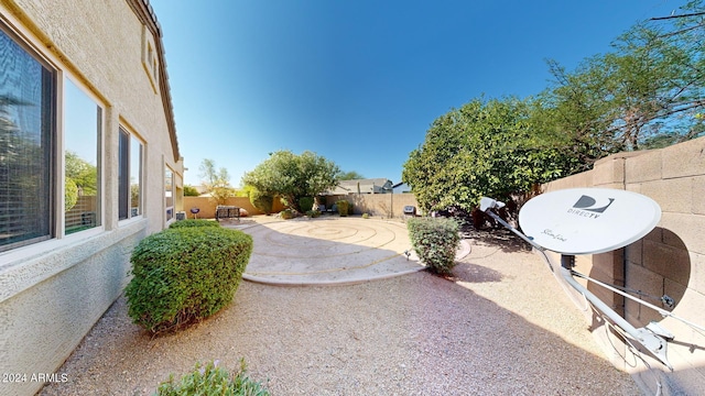 view of yard with a patio