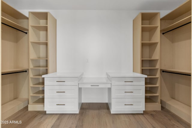 walk in closet with light wood-type flooring