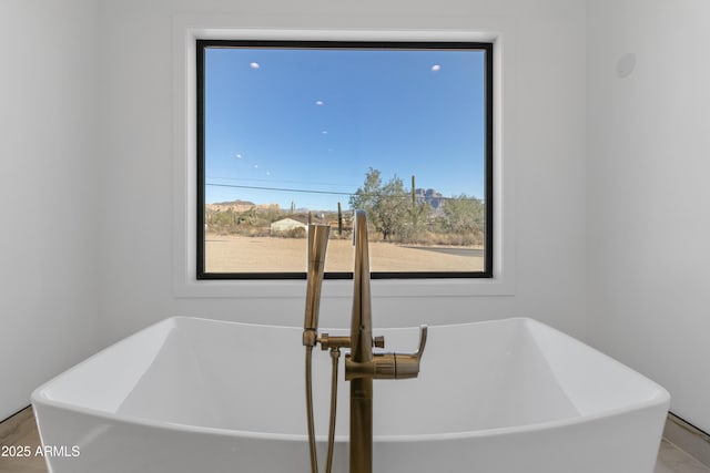 interior details featuring sink and a bathtub