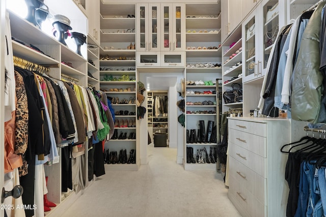 view of spacious closet