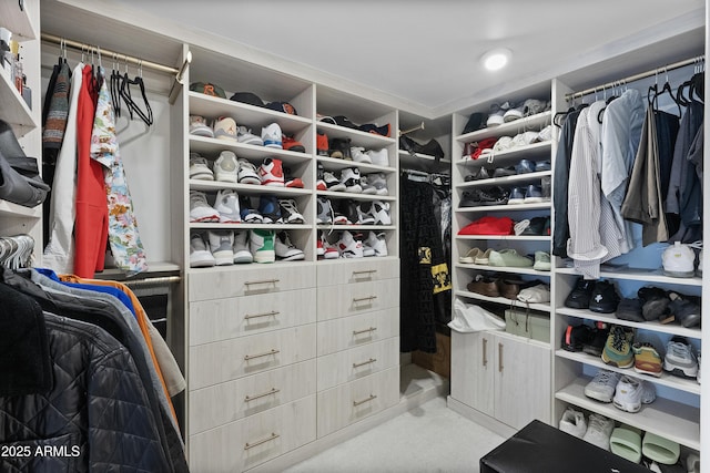 view of spacious closet