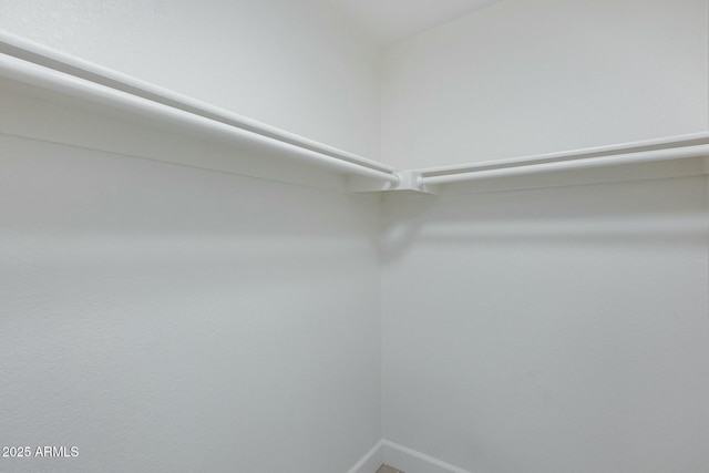 view of walk in closet