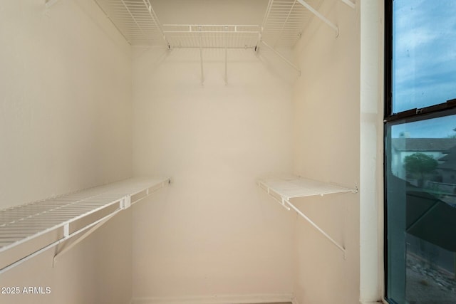 view of spacious closet
