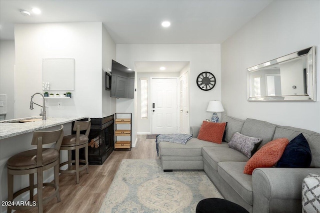 living room with sink and wood-type flooring