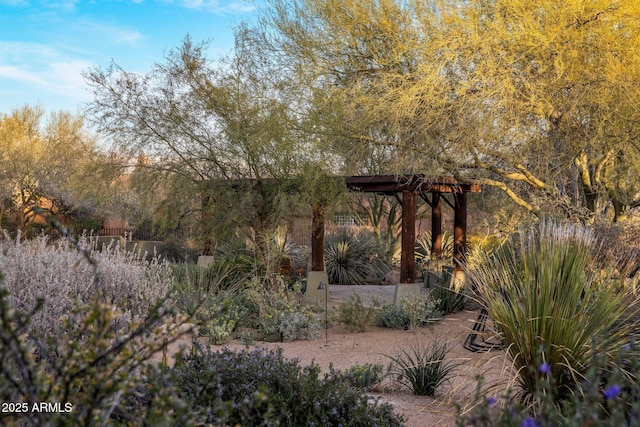 25002 N Quail Haven Dr, Rio Verde, AZ 85263 - view of yard