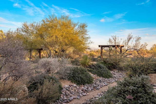 25002 N Quail Haven Dr, Rio Verde, AZ 85263 - view of yard