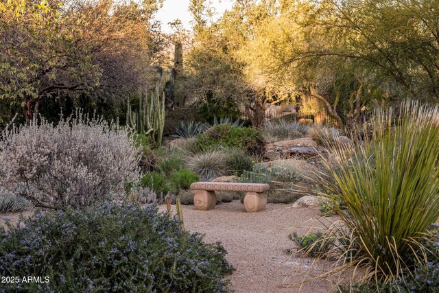 25002 N Quail Haven Dr, Rio Verde, AZ 85263 - view of yard