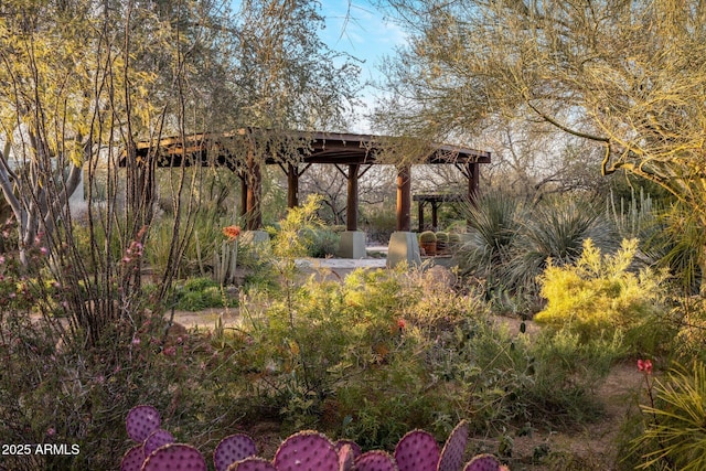 25002 N Quail Haven Dr, Rio Verde, AZ 85263 - view of yard featuring a gazebo