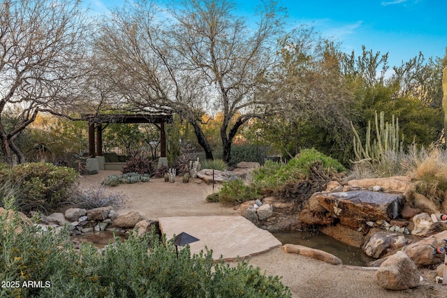 25002 N Quail Haven Dr, Rio Verde, AZ 85263 - view of yard