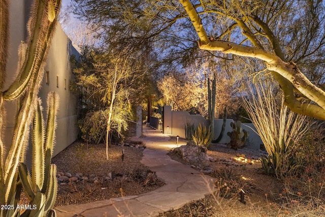 25002 N Quail Haven Dr, Rio Verde, AZ 85263 - view of yard