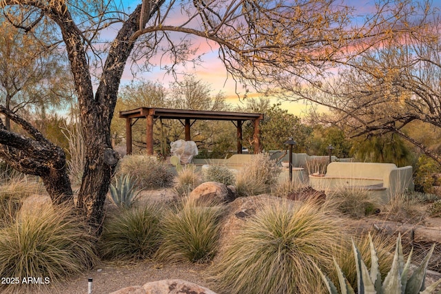 25002 N Quail Haven Dr, Rio Verde, AZ 85263 - view of yard