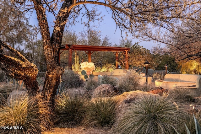 25002 N Quail Haven Dr, Rio Verde, AZ 85263 - view of yard