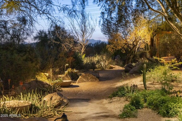 25002 N Quail Haven Dr, Rio Verde, AZ 85263 - view of yard featuring a mountain view