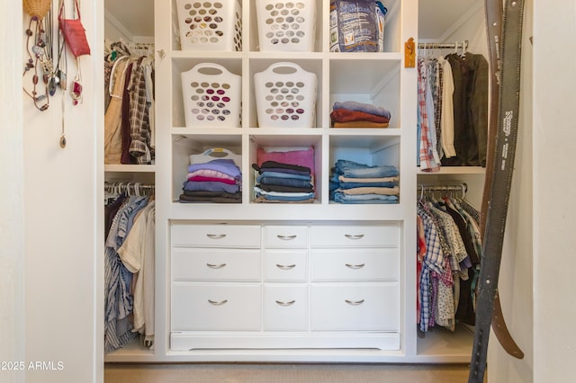 view of closet