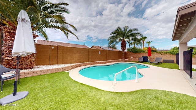 view of pool with a yard