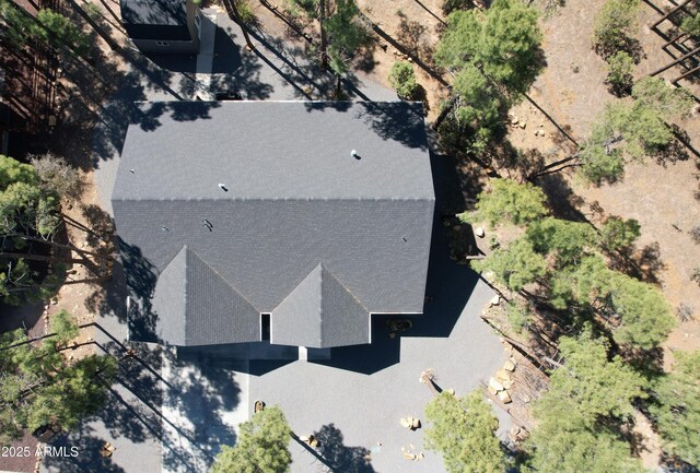 670 S Mountain Pines Ave, Show Low, AZ 85901 - view from above of property