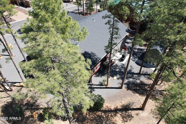 670 S Mountain Pines Ave, Show Low, AZ 85901 - aerial view of property and surrounding area