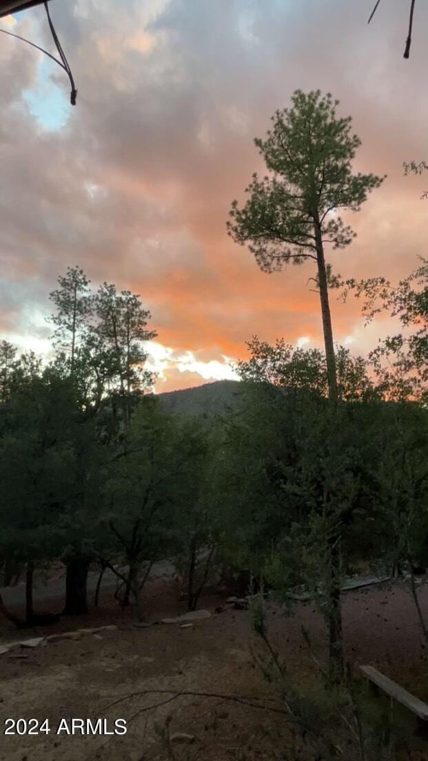 view of nature at dusk