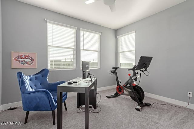 office with ceiling fan, light carpet, and a wealth of natural light