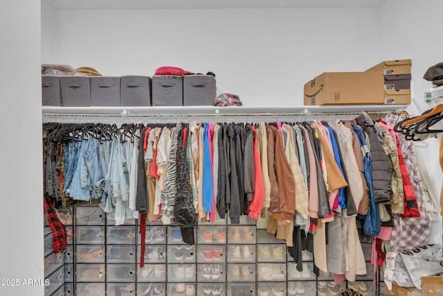 view of walk in closet