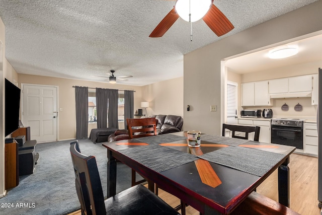 dining room with ceiling fan, light hardwood / wood-style flooring, and a textured ceiling