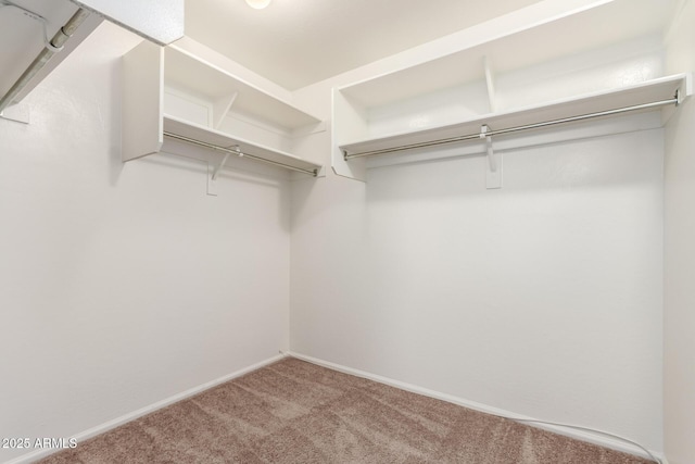 37911 N Luke Ln, San Tan Valley, AZ 85140 - walk in closet featuring carpet floors